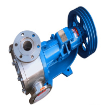 Stainless Steel High Viscosity Rotor Pump NYP High Viscosity High Temperature Internal Gear Rotor Pump